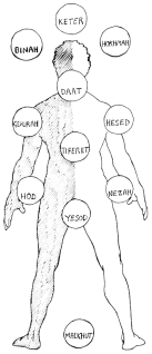 diagrama del hombre y las sefiroth, Pardes Rimmonim, de Moisés Cordovero